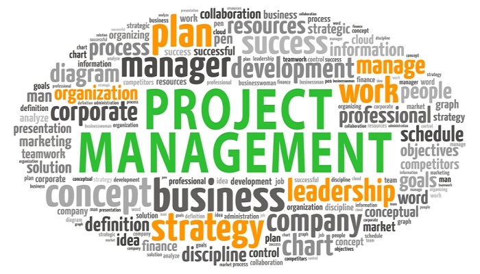 Management of Projects