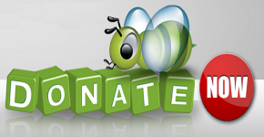 Consider These Tips While Choosing an Online Donation Software Package