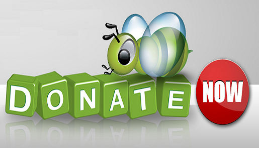 Consider These Tips While Choosing an Online Donation Software Package