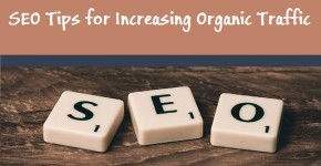 Beginner’s Guide: SEO Tips for Increasing Organic Search Traffic