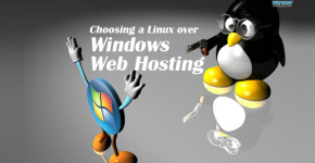 Top Reasons for Choosing a Linux over Windows Web Hosting